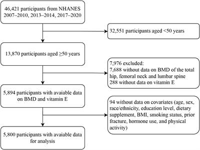 Association between dietary vitamin E and osteoporosis in older adults in the United States